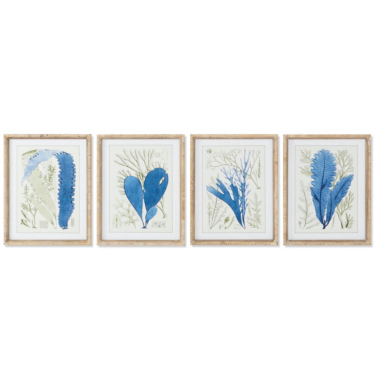 Wandset blauwe veren (4 lijsten) - foto 3