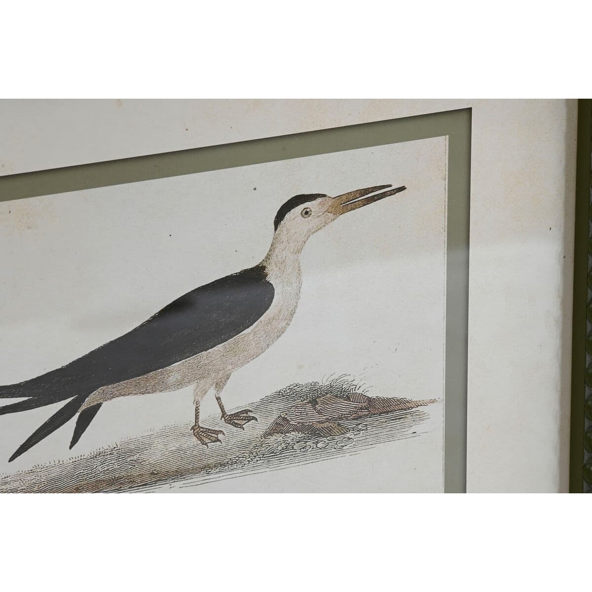 Wanddecoratie set vintage vogels (6 lijsten) - foto 5