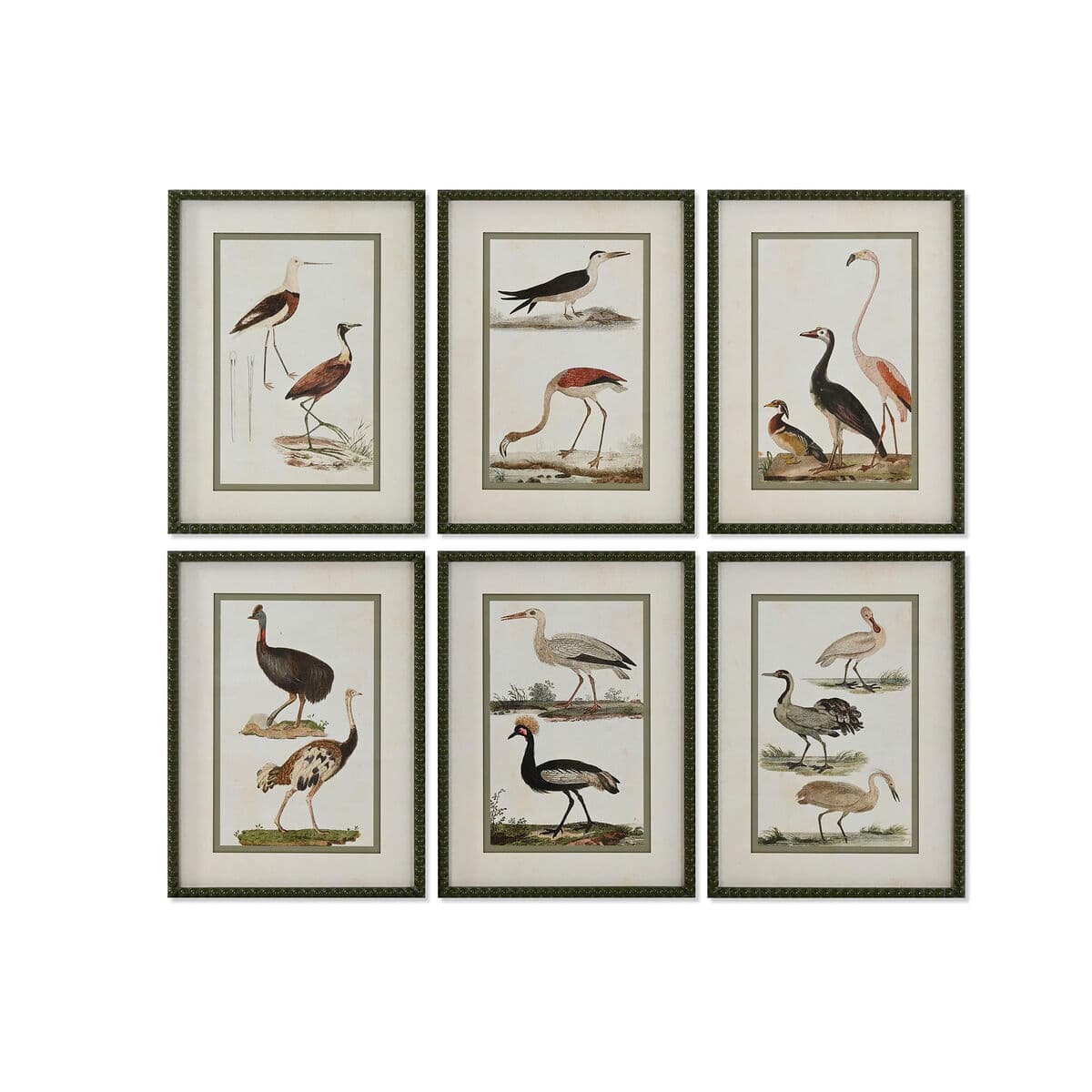 Wanddecoratie set vintage vogels (6 lijsten) - foto 3